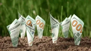 الدخل السلبي للمبتدئين: الدليل الشامل لفهم وبناء مصادر دخل مستدامة